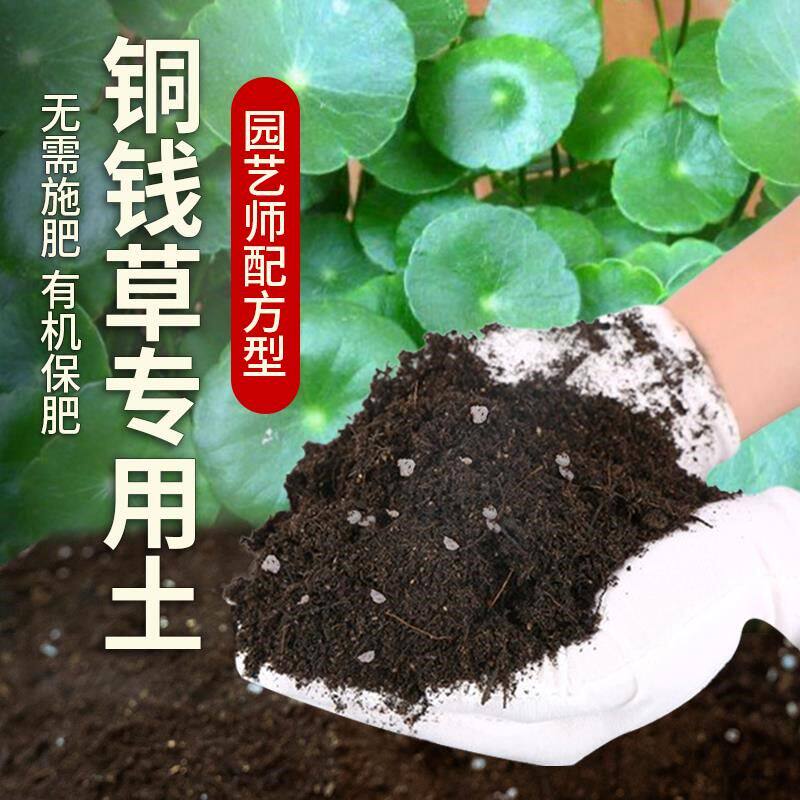 铜钱草专用土肥料家庭盆栽土壤铜钱草营养土室内花草育苗有机花土