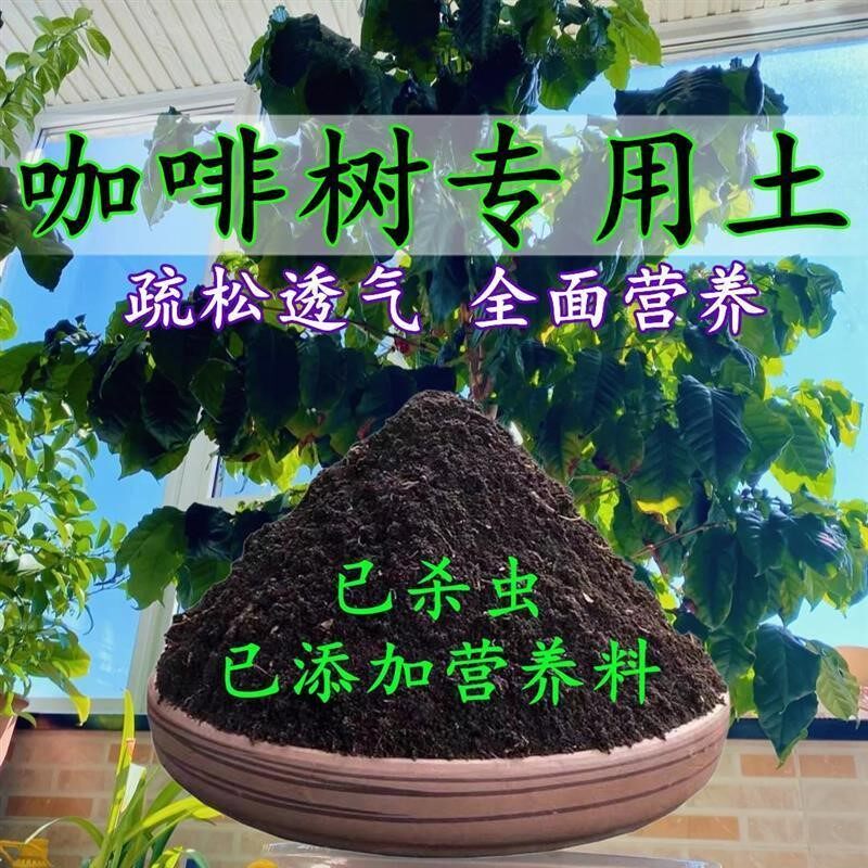 咖啡树专用土咖啡树专用营养土盆栽土养花种花土通用种植土壤肥料