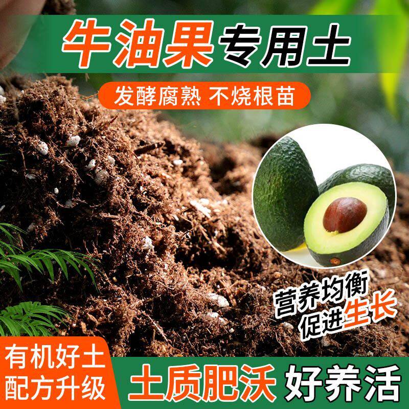牛油果专用土种植士营养土家庭阳台养花盆栽绿植轻质有机肥料土壤