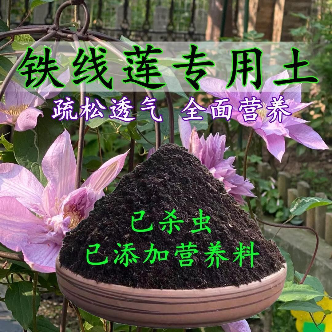 铁线莲专用土铁线莲专用营养土盆栽土养花种花土通用种植土壤肥料