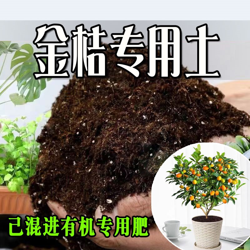 金桔专用土 疏松透气盆栽绿植专用室内植物营养土有机肥料种植土