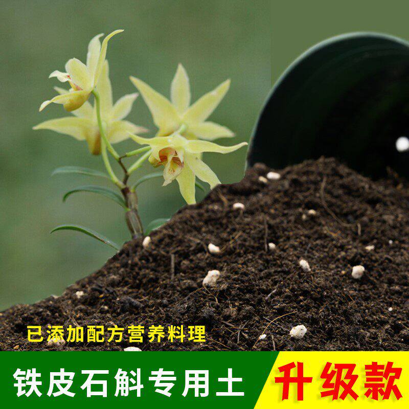 铁皮石斛专用土颗粒兰花土壤种植肥料盆栽铁皮石斛兰花专用营养土