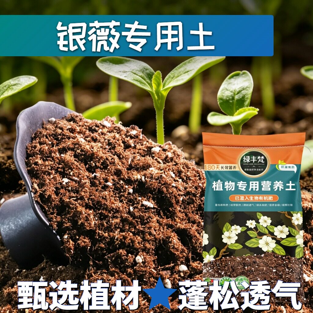 银薇专用种植土蓬松多孔家庭营养土优质涵养养分无草籽球根促开花