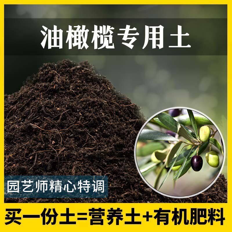 油橄榄专用土农业果园种植土家庭果树有机泥土盆栽土油橄榄营养土
