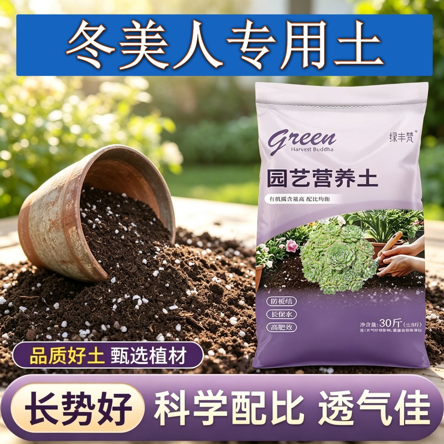 冬美人适用营养土加珍珠岩花园加深生根粉精选壮根木本观花栽培土