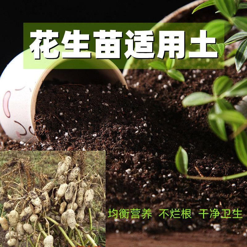 花生苗适用土酸性通用营养土疏松透气种花盆栽土家用种菜种植土壤
