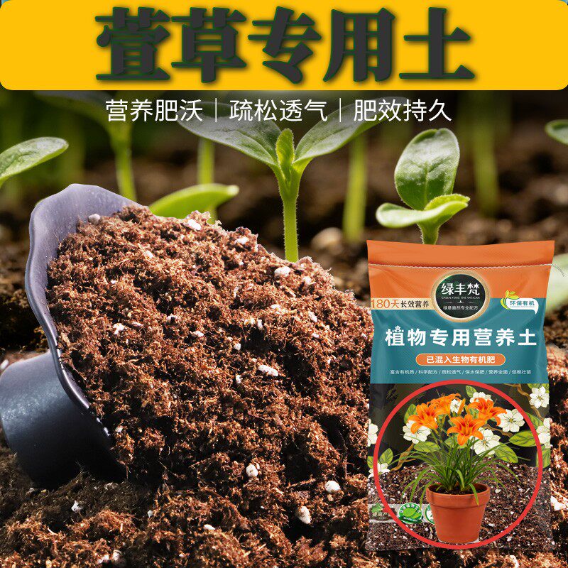 萱草适用轻质土温和基质花盆营养土轻量基质调节土质无草籽多肉