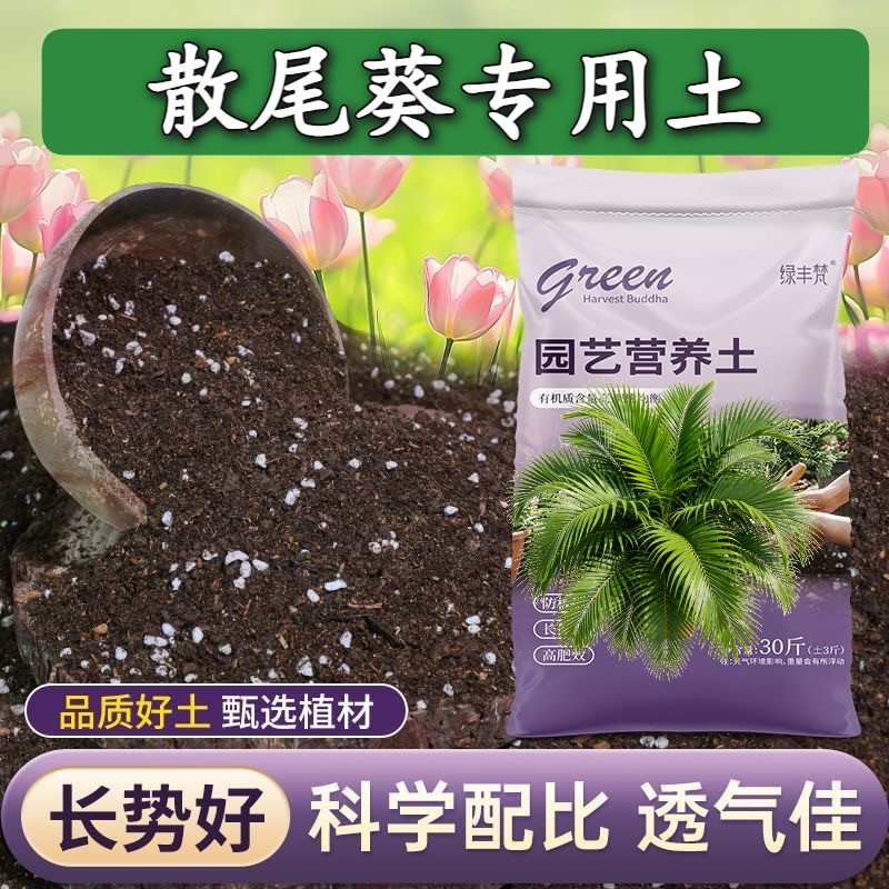 散尾葵适用栽培土不板结盆景泥炭基质进口绿叶喜酸盆景土泥炭土