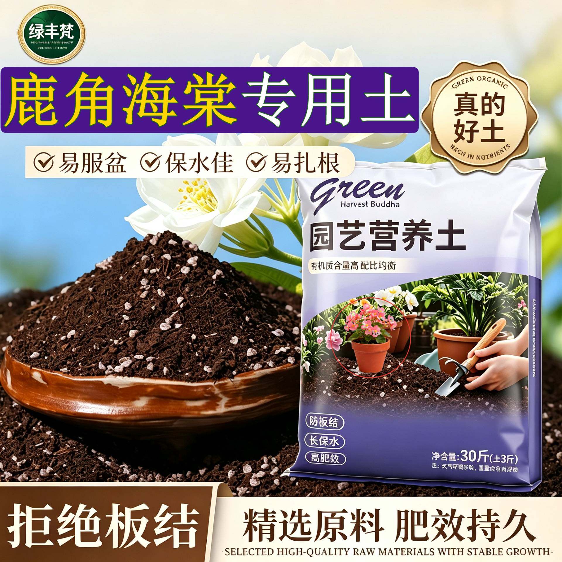 鹿角海棠适用轻质土保水保肥阳台大包优质绿叶喜酸腐殖泥炭土木本