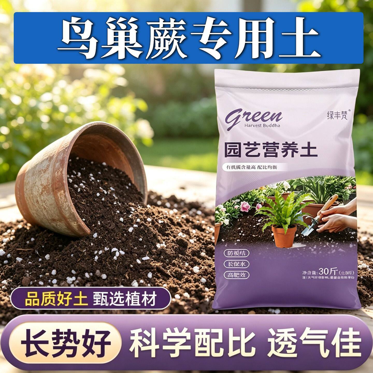 鸟巢蕨专用含泥炭根壮苗好阳台加牛粪进口防徒长多肉高温腐熟包邮