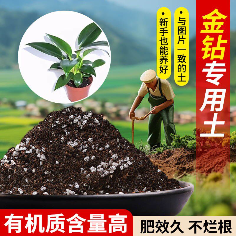 金钻专用土营养土疏松透气含泥炭肥料通用有机种植土轻质土壤