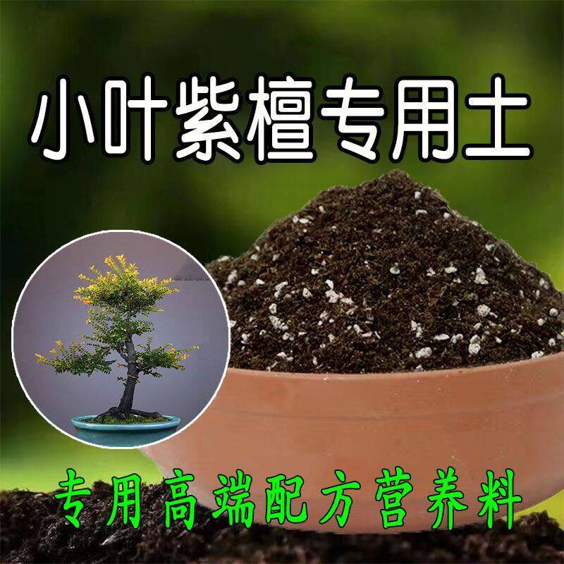小叶紫檀专用土营养土盆栽配方土壤养花种植土通用有机肥料腐殖土