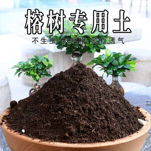 榕树专用土人参榕专用营养土盆栽养花种花土通用型种植土有机土壤