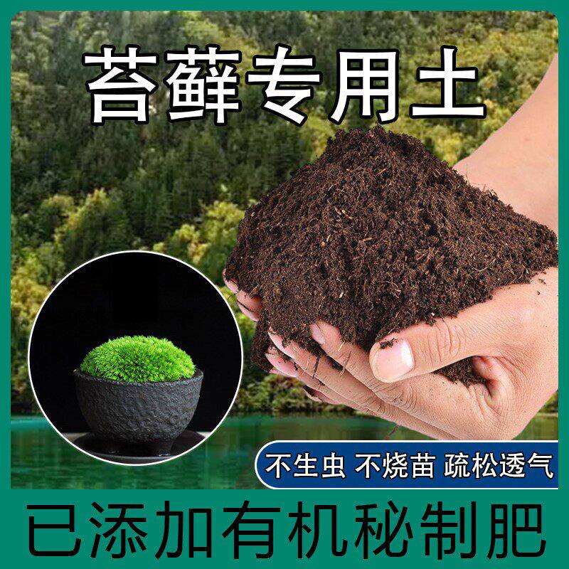苔藓专用土苔藓肥料营养土种植土酸性沙质土壤绿植通用家用盆栽肥