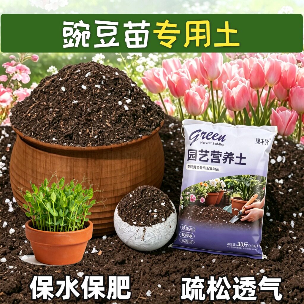 豌豆苗适用盆景土不板结室内加深生根粉天然促生长观叶有机含泥炭