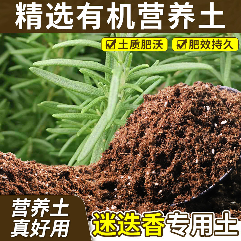 迷迭香适用基质透气性佳月季种植土天然促生长无草籽观花维持疏松