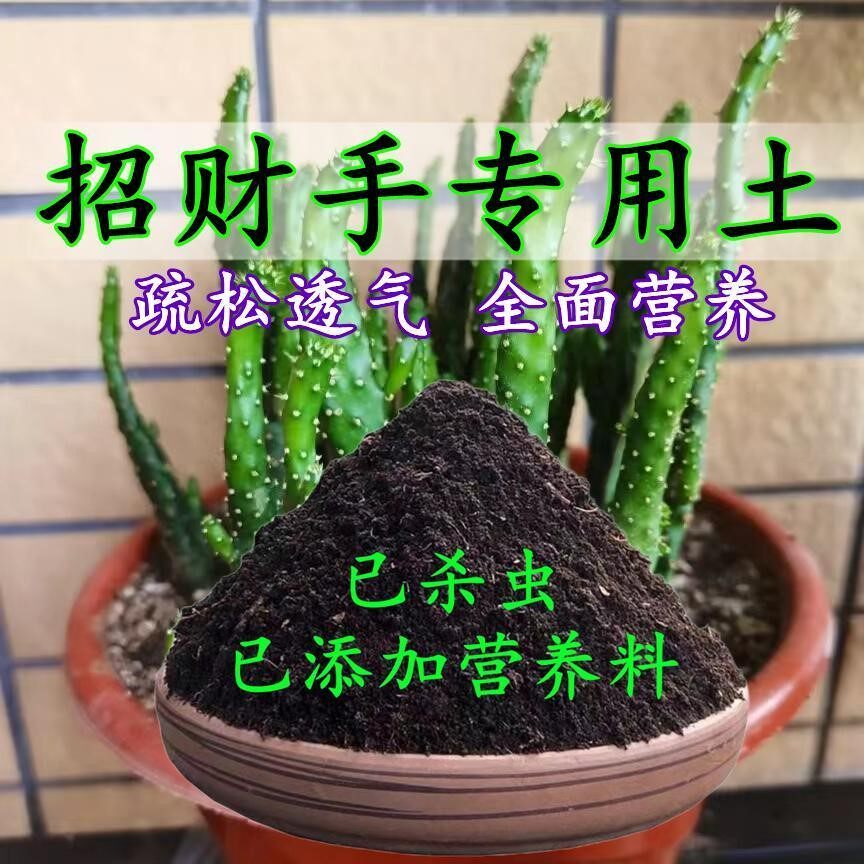 招财手专用土招财手土家用盆栽营养土酸性沙质土壤绿植种植土肥料