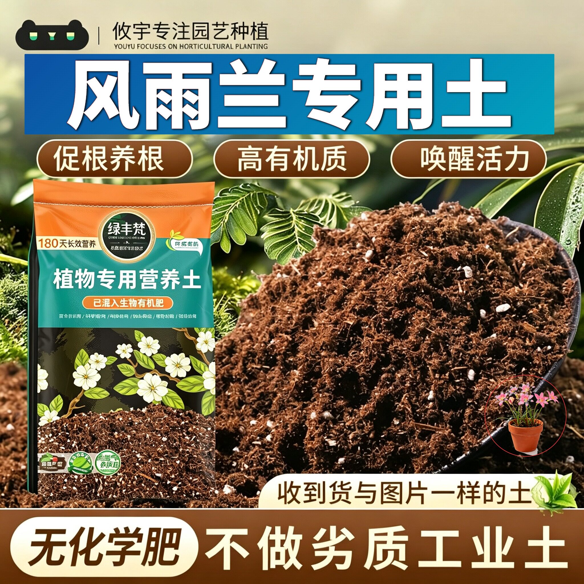 风雨兰专用基质不板结养花营养土天然原料维持疏松大包装喜酸壮根
