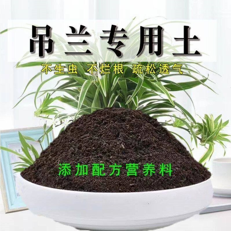 吊兰专用土有机花土种花吊兰