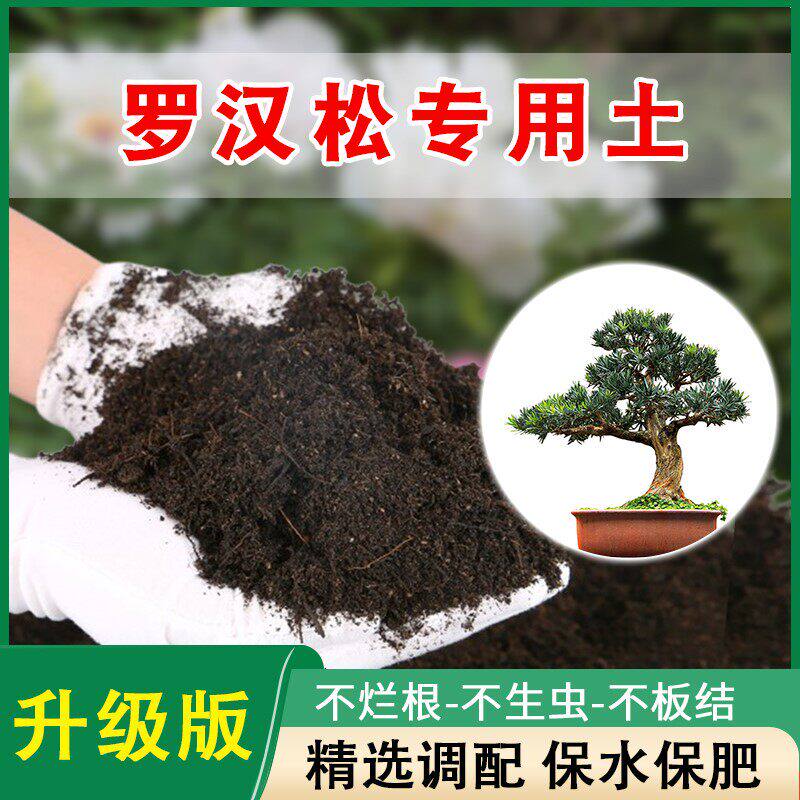 罗汉松专用土酸性盆栽土绿植松树土壤种植土通用营养土有机肥料土