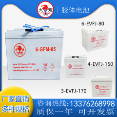 火炬叉车电瓶6gfm85/3evf/4ev升降电动观光车12V85ah三轮蓄电池组