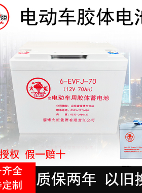 火炬电动车电瓶6V12V免维护胶体电池3DG230/6GFM85/3EVF200蓄电池
