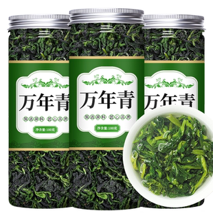 万年青脱水蔬菜干货菜类大全菜芯菜干橄榄菜心干菜青菜干宁波特产