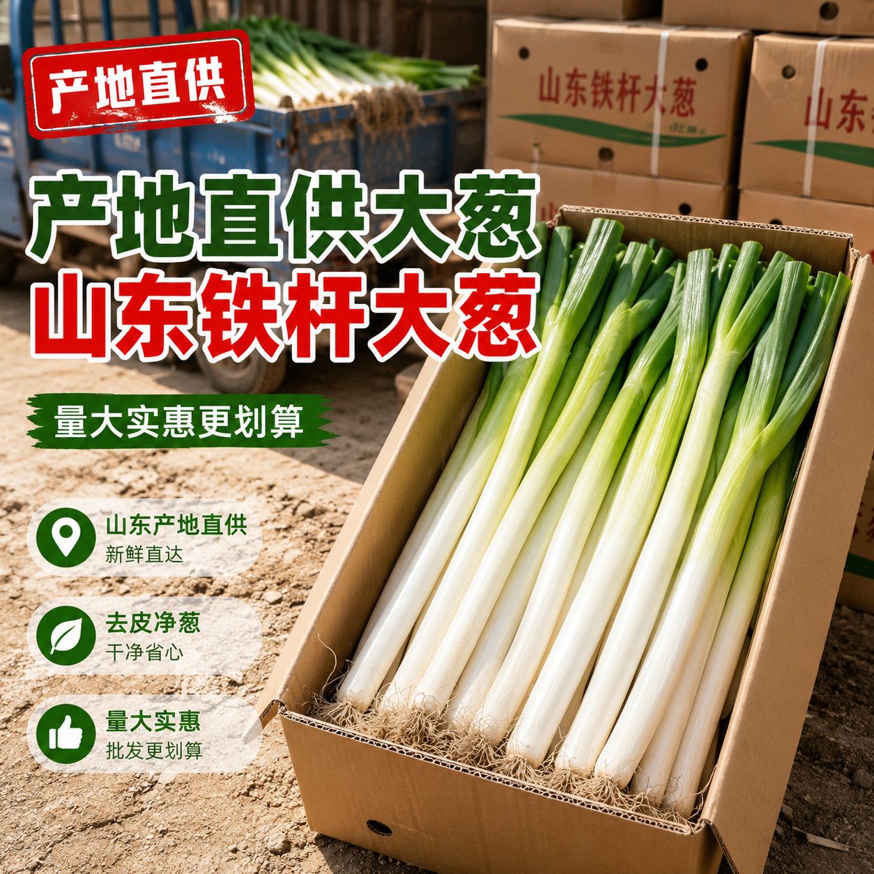 山东大葱新鲜正宗铁杆大葱特级大葱香葱生吃蘸酱葱批发当季蔬菜