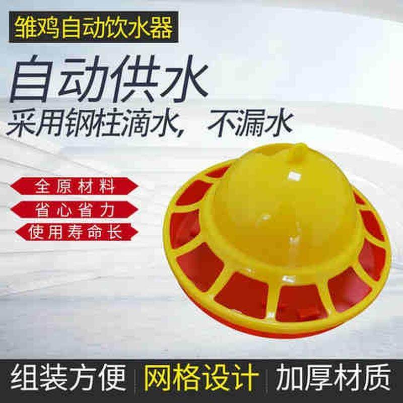 育雏鸡自动饮水器养鸡设备小鸡育雏养殖设备兽用器械