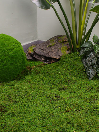 棕色丝模拟苔藓绿色草坪假苔藓装饰品园林绿化彷生苔藓球装饰绿色