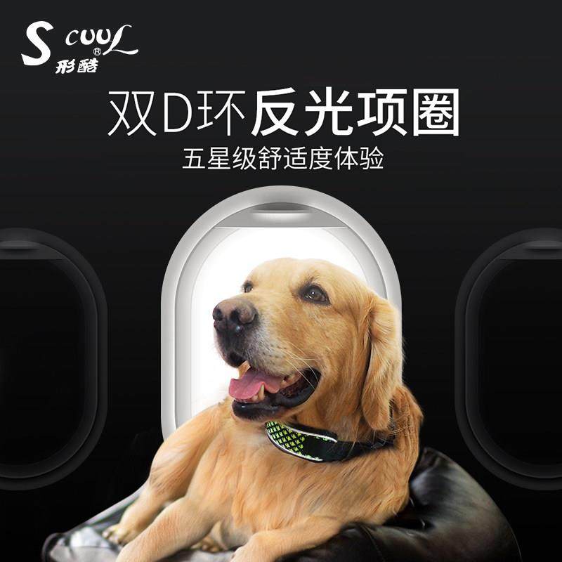 狗狗项圈金毛泰迪小型犬中型防咬颈圈拉布拉多大型犬狗圈宠物脖套