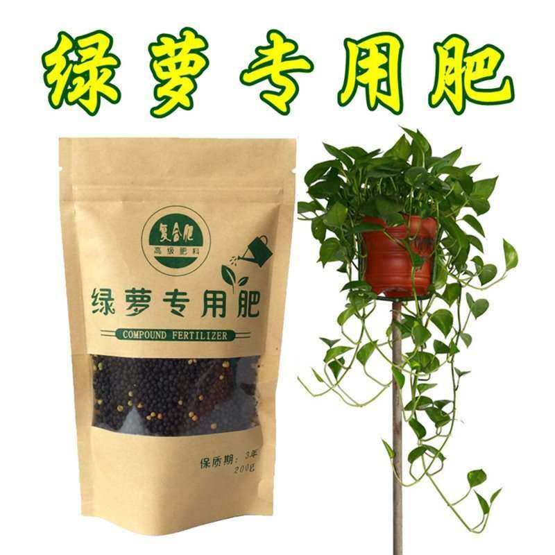 绿萝专用肥滴水观音红掌专营肥料观吊植物通用型花肥叶兰用养液