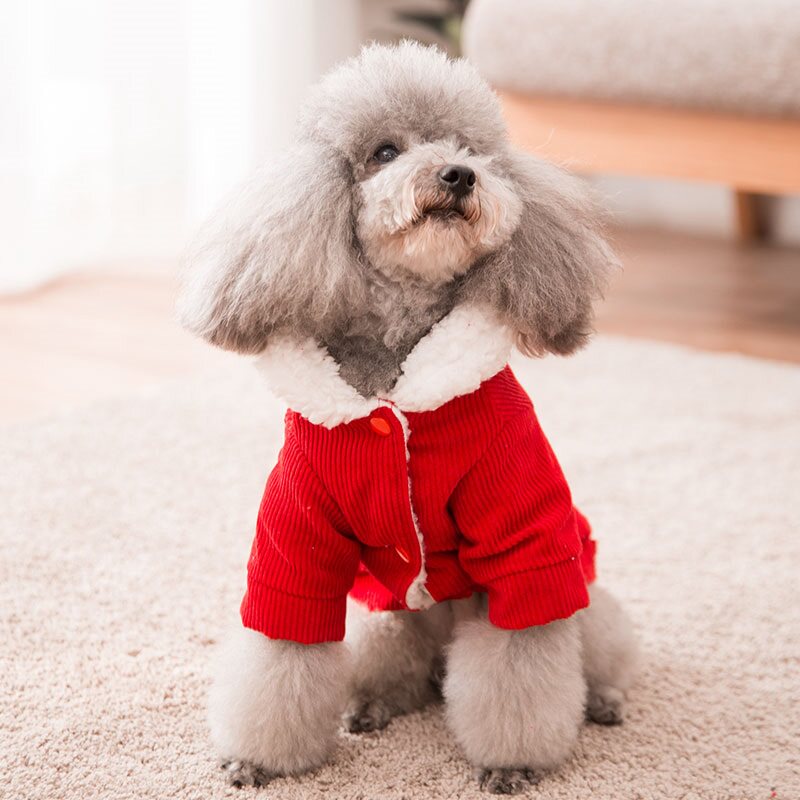 新款小狗狗贵宾幼犬吉娃娃过新年宠物红色衣服过年喜庆新年个性冬
