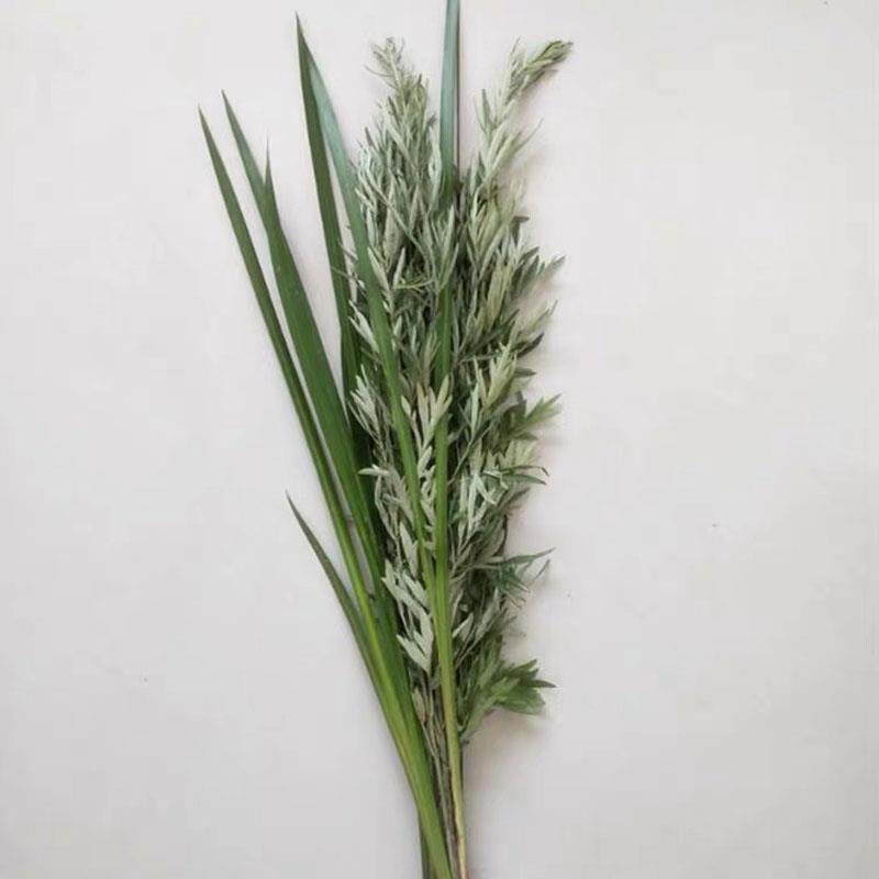 端午节新鲜整棵株束带杆艾叶艾草剑菖蒲洗澡挂檐窗艾嵩苗门前泡脚