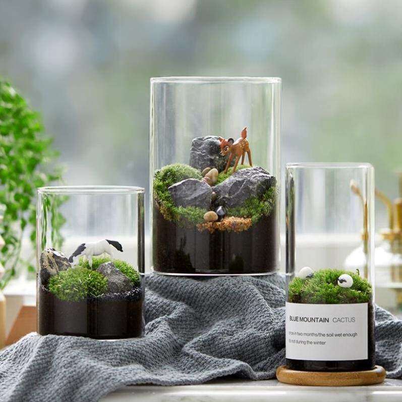 微观生态瓶奇趣创意diy植物小盆景苔藓微景观盆栽办公室桌面摆件