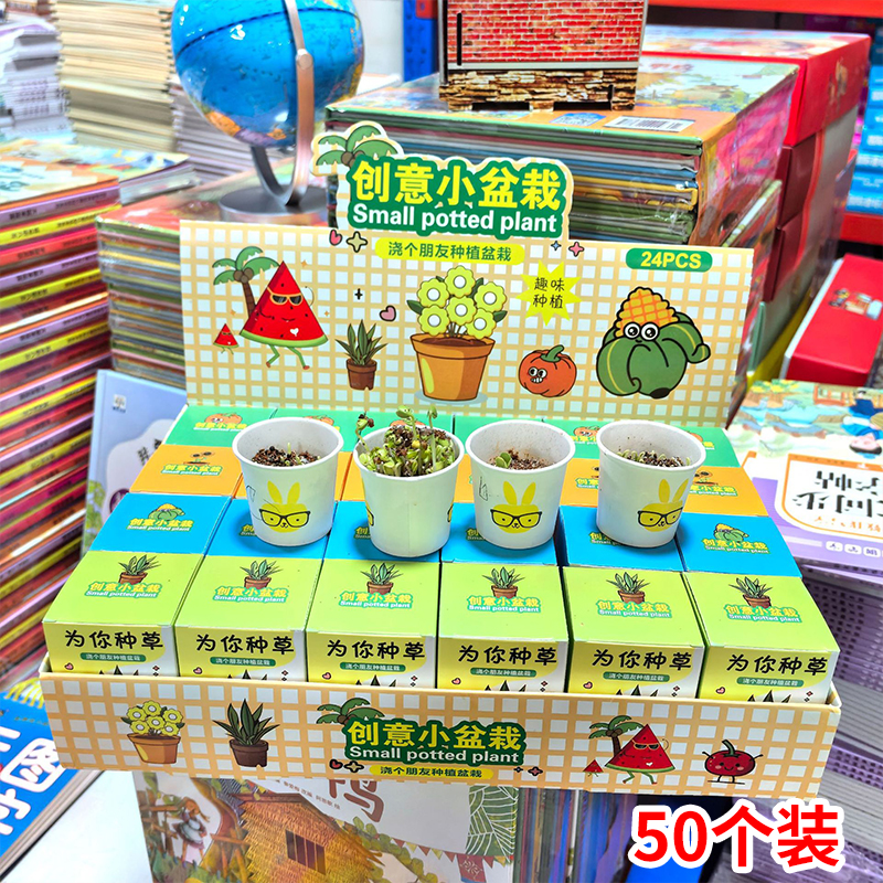 盆栽盲盒幼儿园桌面绿植小盆栽