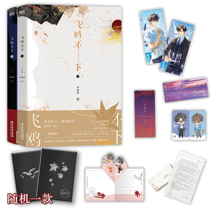 全新正版飞鸥不下：全2册 回南雀著 盛珉鸥x陆枫 青春都市文学小说实体书 烧不尽 青梅屿 同作者畅销书籍