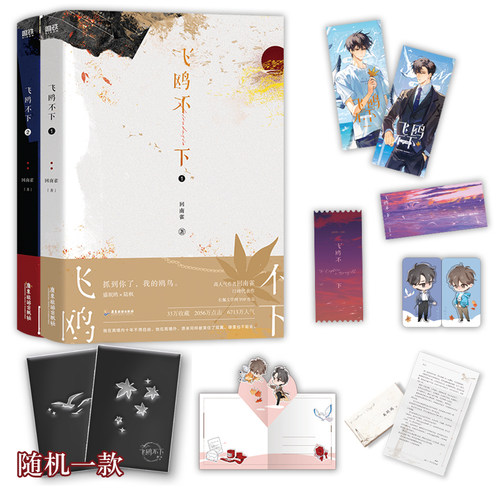 全新正版飞鸥不下：全2册 回南雀著 盛珉鸥x陆枫 青春都市文学小说实体书 烧不尽 青梅屿 同作者畅销书籍