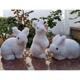 仿真兔子动物玩偶儿童毛绒玩具兔子静态动物模型小白兔灰兔公仔