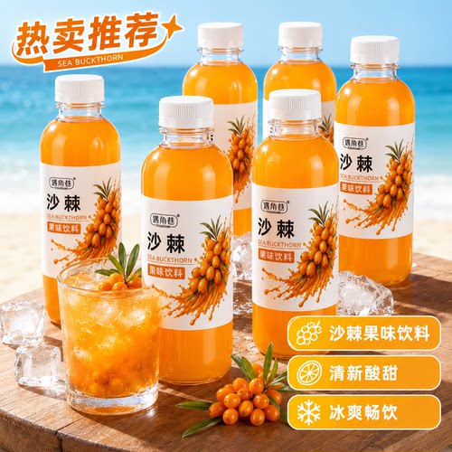 新品冲量沙棘汁酸甜可口整箱特价
