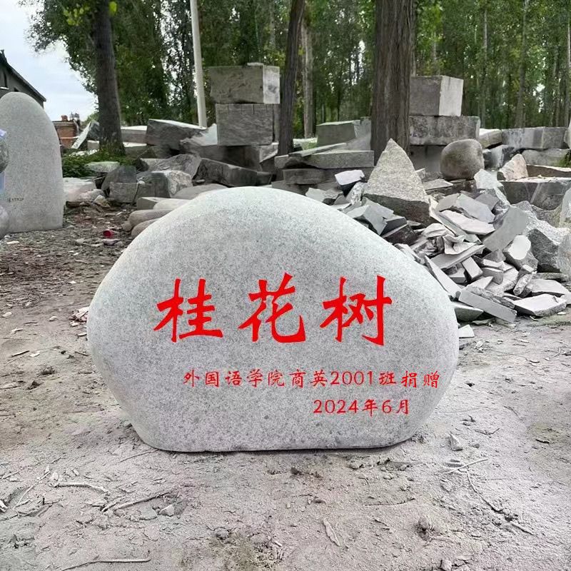 景观石刻字石头大型风景石奠基自然泰山留念石庭院门牌校园鹅卵石