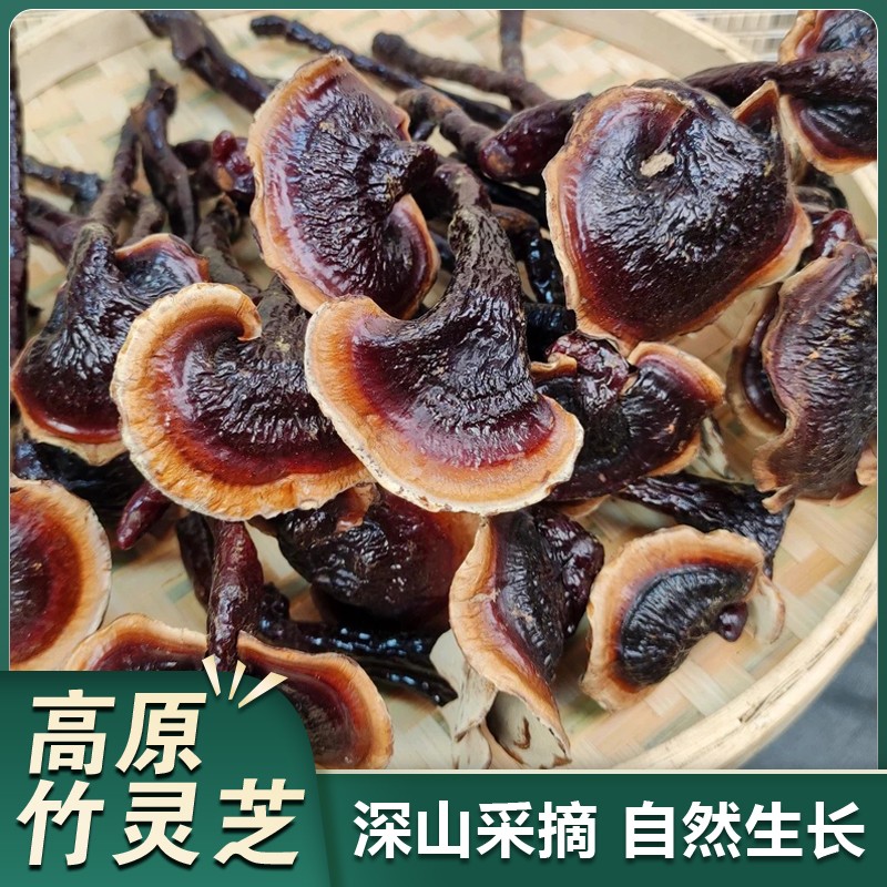 云南特产 高原下山货竹灵芝 助农山货竹灵芝 煲汤煮茶滋补营养