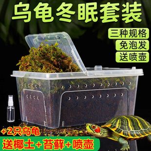 乌龟冬眠套装 龟过冬全套椰土苔藓草沙土垫材保温饲养箱乌龟冬眠箱