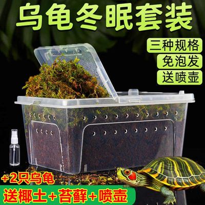 乌龟冬眠套装龟过冬全套椰土苔藓草沙土垫材保温饲养箱乌龟冬眠箱