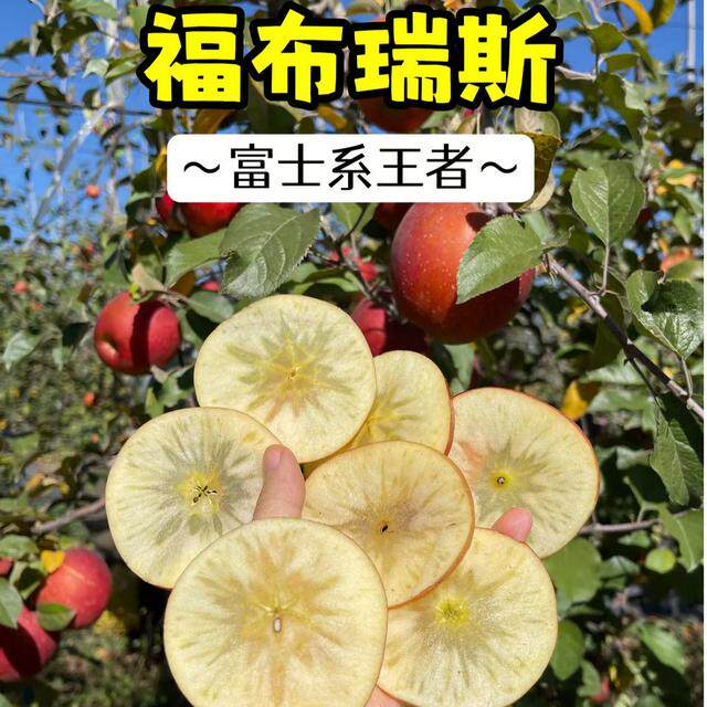【顺丰发货】云南樱桃小苹果 礼盒装 高原冰糖心(净重3斤10-15