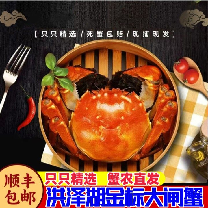 金标活蟹 全母8送2共10只 3.1-2.8两 洪泽湖大闸蟹礼盒包邮 蟹浩,水产肉类/新鲜蔬果/熟食,贝类制品,淘宝优惠券,粉丝福利购,淘宝优惠卷