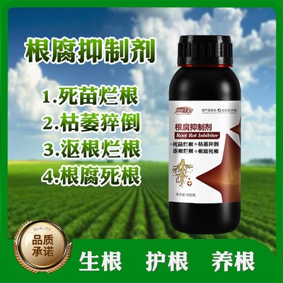 根腐烂根软腐农作物专用根腐抑制剂苗期死棵僵苗青枯立枯