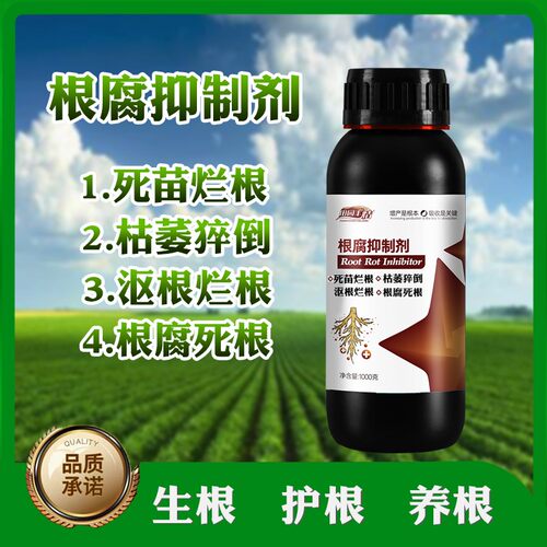 根腐沤根烂根农作物专用根腐抑制剂苗期死棵僵苗青枯