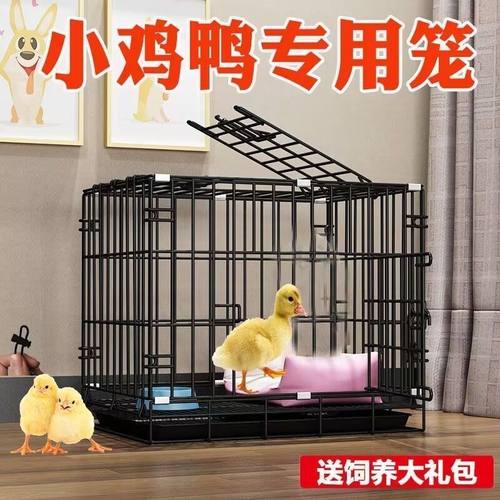 特大号室内外自动清粪鸡鸽鸭笼