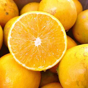 珍品花斑橙 云南特产玉溪褚冰糖橙哀牢山新鲜水果甜橙超甜花斑果